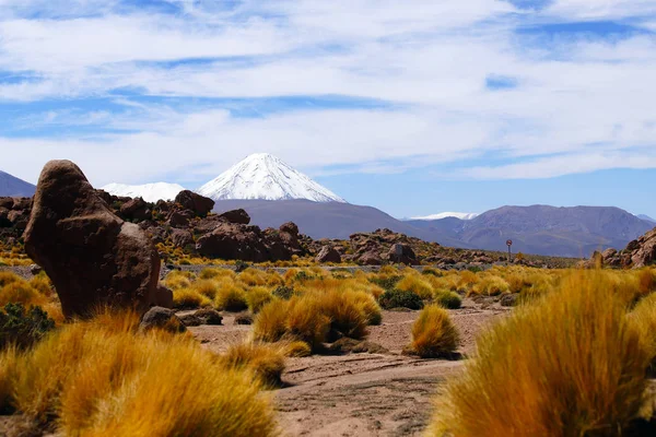 Krajobrazy Pustyni Atacama Widok Wulkanu Licancabur Wzdłuż Drogi Gejzery Tatio — Zdjęcie stockowe