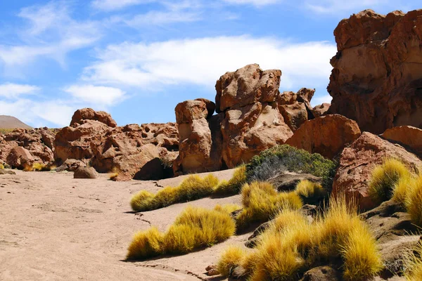 Landscapes of the Atacama Desert: rocks along the road to the El Tatio geysers near the Termas de Puritama, Atacama Desert, Chile