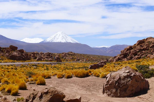 Paysages Désert Atacama Vue Sur Volcan Licancabur Long Route Vers — Photo