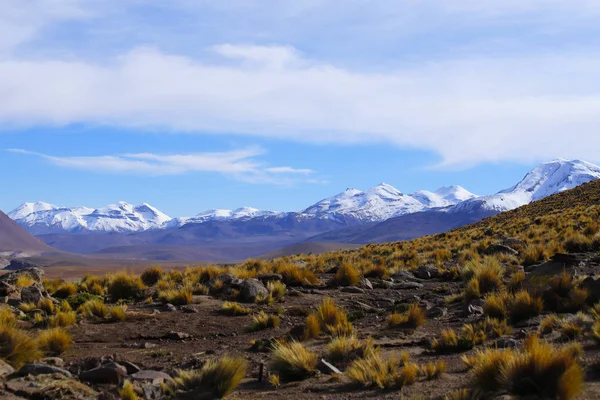 북부의 산꼭대기에 안데스산맥과 화산들 칠레의 아타카마 — 스톡 사진