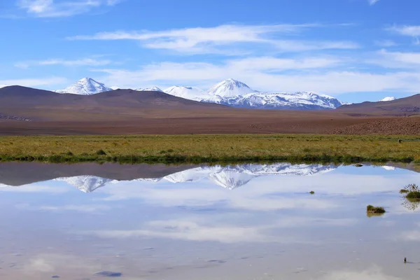 Paisaje Del Norte Chile Con Los Andes Volcanes Con Nieve — Foto de Stock