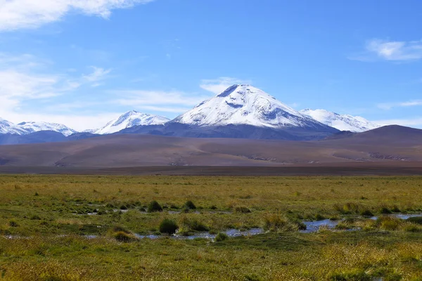 Krajobraz Północnego Chile Andami Wulkanami Śniegiem Szczycie Pustynia Atacama Chile — Zdjęcie stockowe