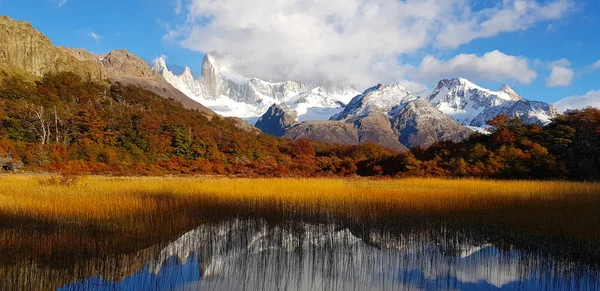 Переглянути Вранці Laguna Капрі Гору Fitz Roy Осені Квіти Патагонії — стокове фото