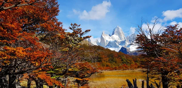 在早晨查看拉古纳卡普里和菲茨罗伊山与秋天的颜色 巴塔哥尼亚 阿根廷 — 图库照片