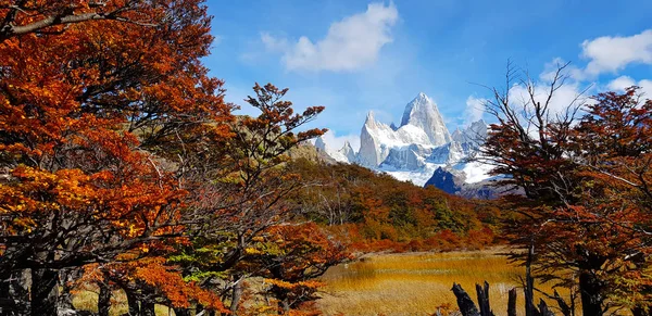 Переглянути Вранці Laguna Капрі Гору Fitz Roy Осені Квіти Патагонії — стокове фото