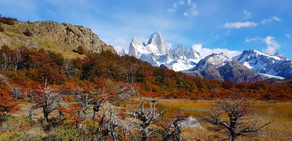 Blick Morgen Auf Laguna Capri Und Mount Fitz Roy Mit — Stockfoto