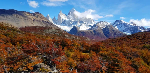 Bäume Herbstfarben Und Mount Fitz Roy Patagonien Argentinien — Stockfoto