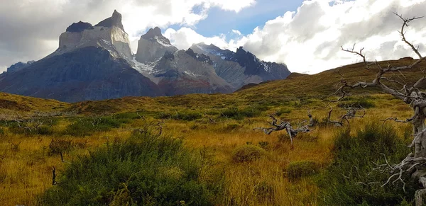 Herfst Kleuren Torres Del Paine Chili — Stockfoto