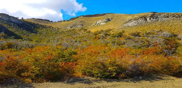 Typowy Krajobraz Patagonii Kolory Jesieni Pozostawia Patagonia Chile — Zdjęcie stockowe