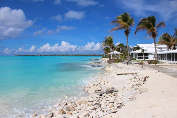 Playa Fina Arena Blanca Palmeras Mar Azul Caribe Long Island —  Fotos de Stock