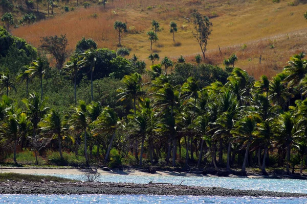 Uitzicht Één Van Yasawa Eilanden Met Een Strand Kokosnoot Bomen — Stockfoto