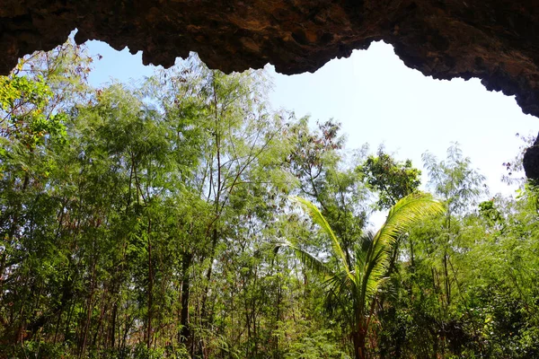 Jeskyně Ostrově Kuata Typickou Vegetací Ostrovy Yasawa Fidži — Stock fotografie