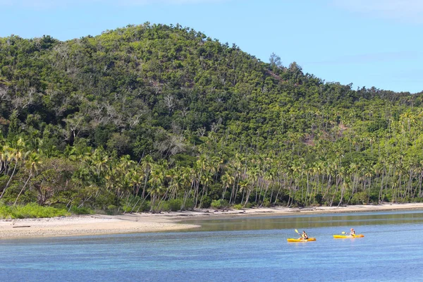 Pláž Bílým Pískem Kokosovými Palmami Ostrova Narara Yasawa Fidži — Stock fotografie