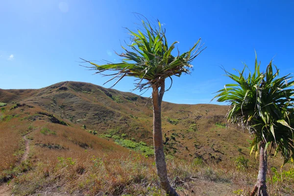 Weergave Van Het Interieur Landschap Van Het Eiland Van Nacula — Stockfoto