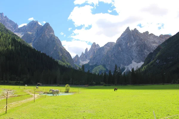Rotsachtige Pieken Van Bergen Van Dolomieten Italië — Stockfoto