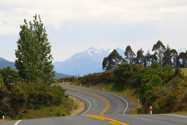 Eine Straße Auf Der Südinsel Neuseelands Mit Der Typischen Wilden — Stockfoto
