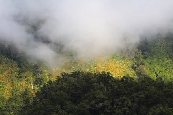 Morgennebel Zweifelhaften Klang Nationalpark Fiordland Südinsel Neuseeland — Stockfoto