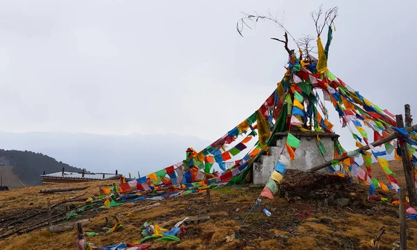 Buddhist prayer flags in Yak Meadow in the Yulong Snow Mountain, Lijiang, Yunnan, China