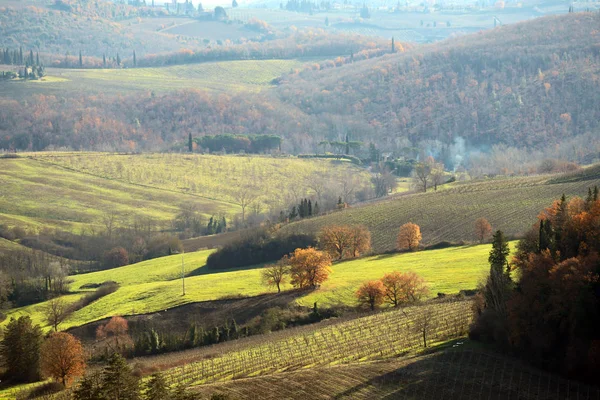 Paisagem Toscana Outono Colinas Fazendas Oliveiras Ciprestes Vinhas Colinas Chianti — Fotografia de Stock