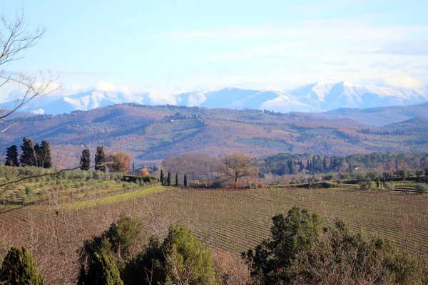 Landschap Van Toscane Het Najaar Heuvels Boerderijen Olijfbomen Cipressen Wijngaarden — Stockfoto