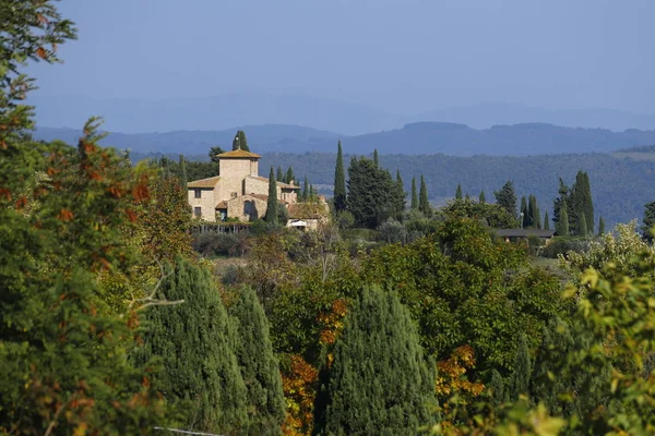 Paisaje Toscana Otoño Colinas Casas Rurales Olivos Cipreses Viñedos Las —  Fotos de Stock