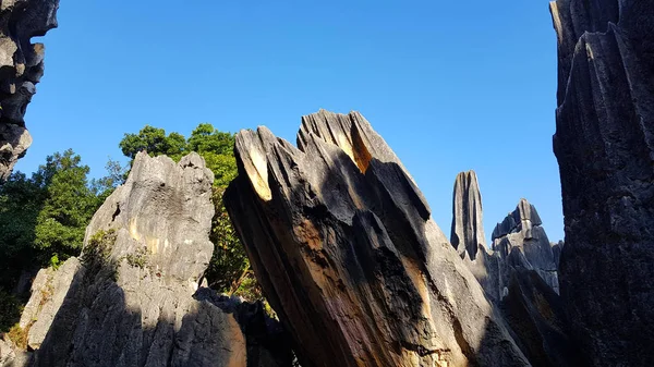 石の森や士林の素晴らしい風景です これは石灰岩の地層が士林カルスト エリアに位置し 雲南省 中国です — ストック写真