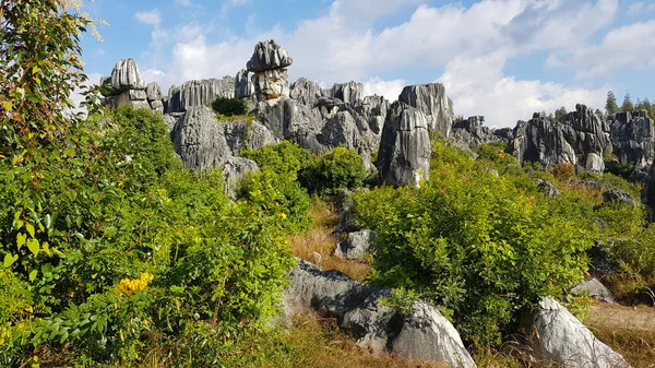 石の森や士林の素晴らしい風景です これは石灰岩の地層が士林カルスト エリアに位置し 雲南省 中国です — ストック写真