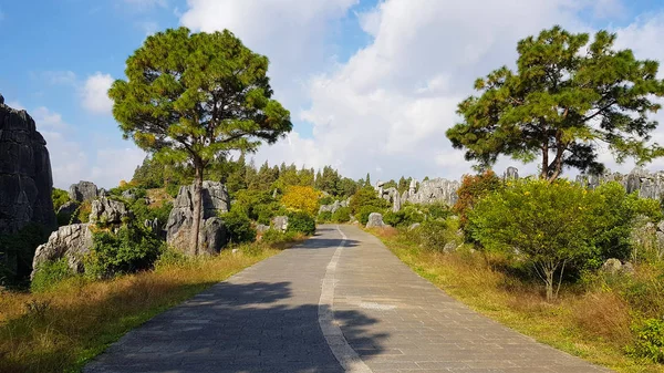 사림의 석회암 Karst 지역에 위치한 중국은 — 스톡 사진