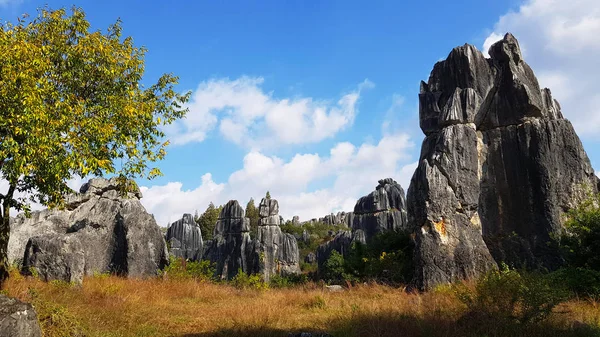 石の森や士林の素晴らしい風景です これは石灰岩の地層が士林カルスト エリアに位置し 雲南省 中国です — ストック写真