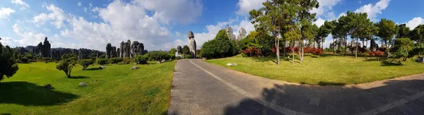 사림의 풍경에 석회암 Karst 지역에 위치한 중국은 — 스톡 사진