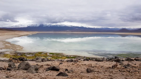 Vista Laguna Blanca Paisaje Desértico Las Tierras Altas Andinas Bolivia —  Fotos de Stock