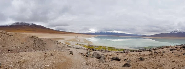 Вид Лагуну Бланка Пустынном Ландшафте Андийского Нагорья Боливии Персиками Заснеженных — стоковое фото
