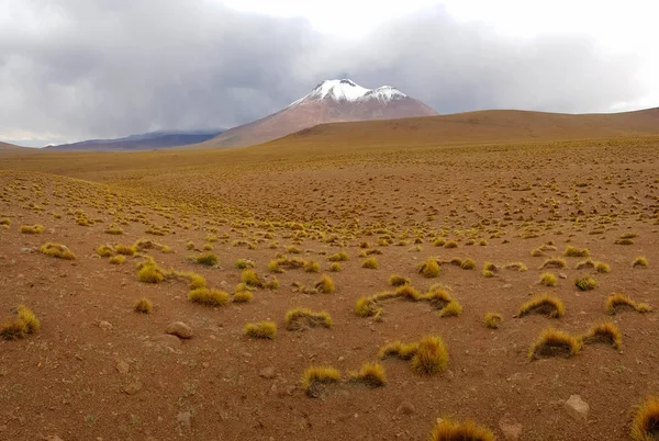 Vue Sur Les Volcans Paysage Désertique Des Hauts Plateaux Andins — Photo