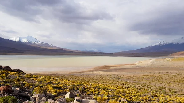 Bolivya Nın Andean Plato Çöl Manzara Laguna Hedionda — Stok fotoğraf