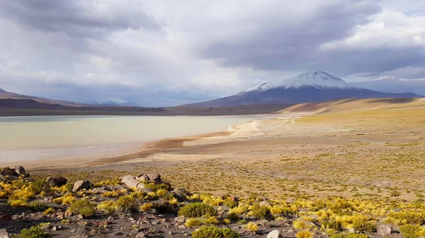 Bolivya Nın Andean Plato Çöl Manzara Laguna Hedionda — Stok fotoğraf