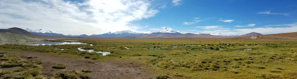 Valley Highlands Atacama Desert Road Tatio Geysers Lagoons Snowy Volcanoes — Stock Photo, Image