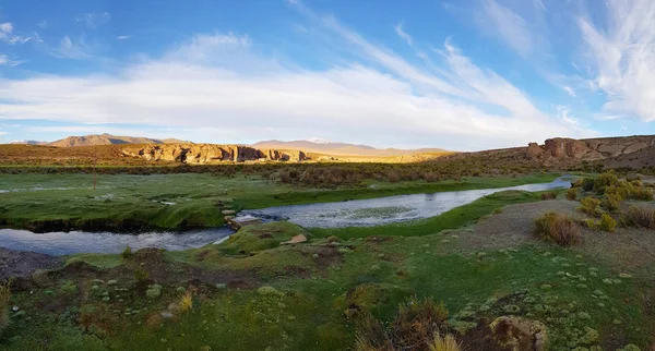 拉古纳 内格拉 一个奇妙的泻湖 骆驼在那里吃草 坐落在玻利维亚高原岩石的波纹中 — 图库照片