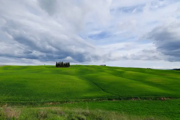 Cipreses Circulares Val Orcia Toscana Val Orcia Paisaje Primavera Cipreses — Foto de Stock