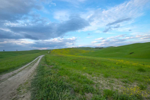 Green hills with cypresses and green meadows in Val d\'Orcia, Tuscany, Italy. Val d\'Orcia, Siena, Tuscany, Italy. Hills of Tuscany. Val d\'Orcia landscape in spring.