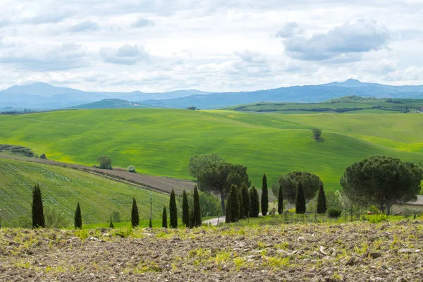 Colinas Verdes Con Cipreses Prados Verdes Val Orcia Toscana Italia — Foto de Stock