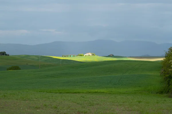 Val d'Orcia krajobraz wiosną. Wzgórza Toskanii. — Zdjęcie stockowe