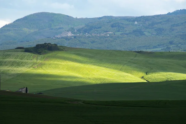 Τοπίο Val d'Orcia την άνοιξη. Λόφοι της Τοσκάνης. — Φωτογραφία Αρχείου