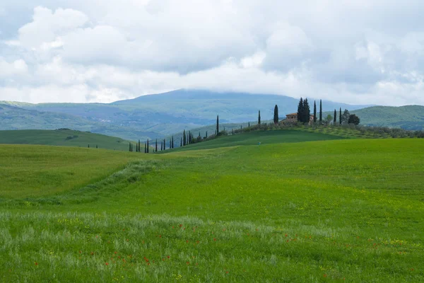 Val d'Orcia landscape in spring. Hills of Tuscany. Royalty Free Stock Photos