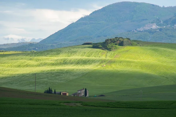 Val d 'Orcia paisaje en primavera. Colinas de Toscana . —  Fotos de Stock