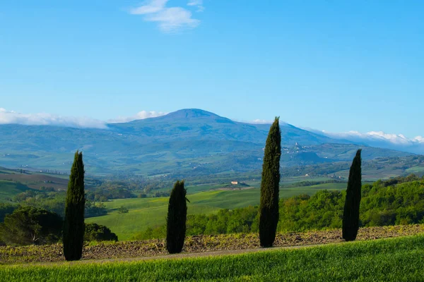 Val d 'Orcia paisagem na primavera. Colinas da Toscana . — Fotografia de Stock