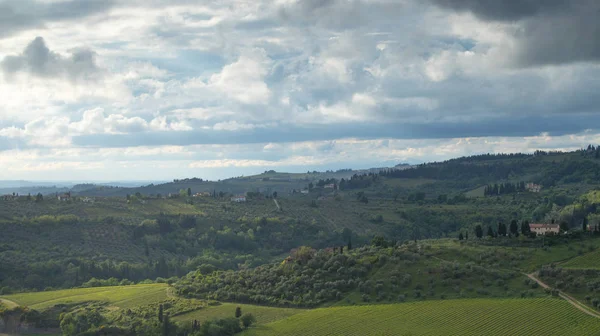 Landscape of Tuscany: hills, farmhouses, olive trees, cypresses, — Stock Photo, Image