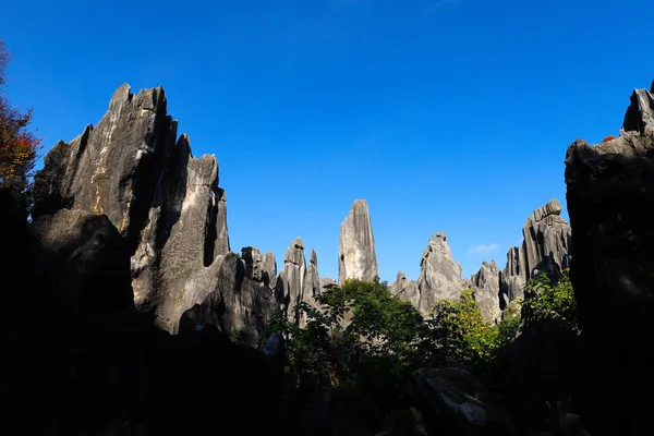 El paisaje del Bosque de Piedra en Yunnan. Este es un formato de piedra caliza — Foto de Stock