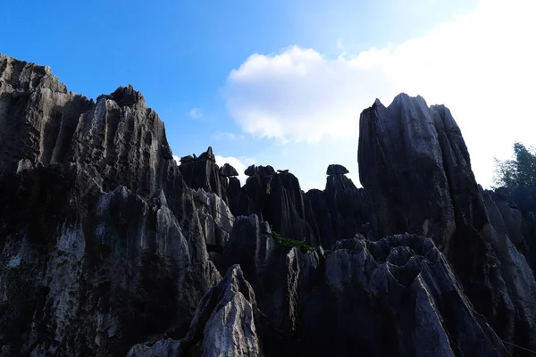 雲南省の石の森の風景。これは石灰岩のフォーマットです — ストック写真