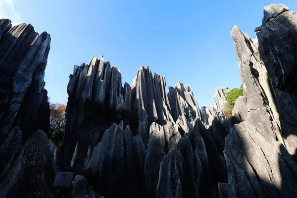 雲南省の石の森の風景。これは石灰岩のフォーマットです — ストック写真