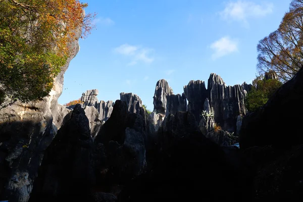 El paisaje del Bosque de Piedra en Yunnan. Este es un formato de piedra caliza — Foto de Stock